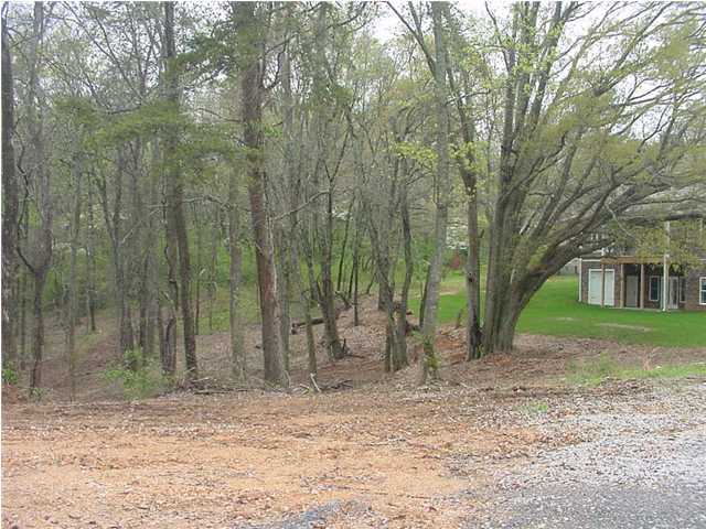 18 Gann Store Road Hixson, TN 37343 - Photo 7 of 7 Additional Photo