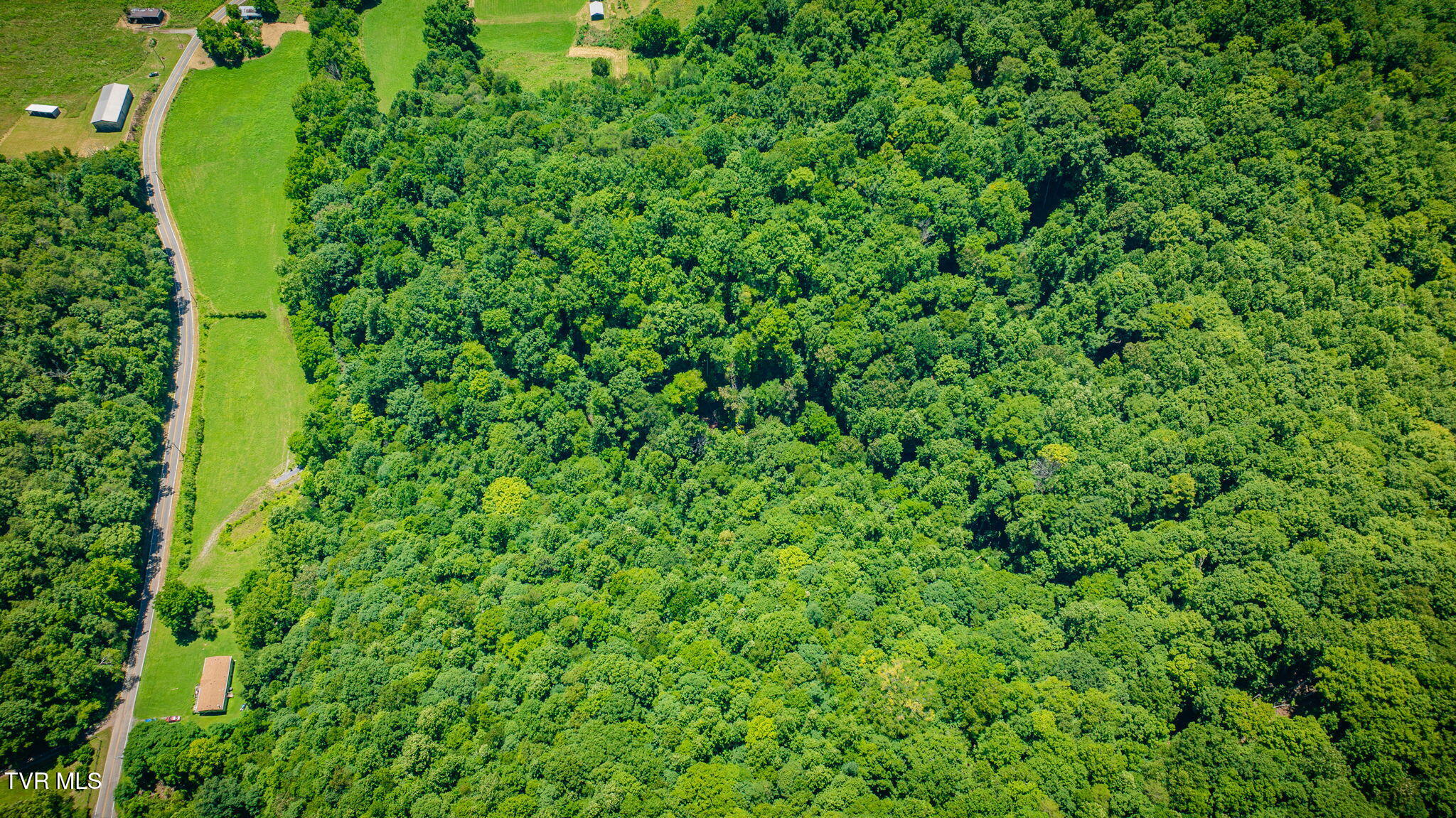 Tbd Hickory Cove Road Rogersville, TN 37857 - Photo 7 of 17 107