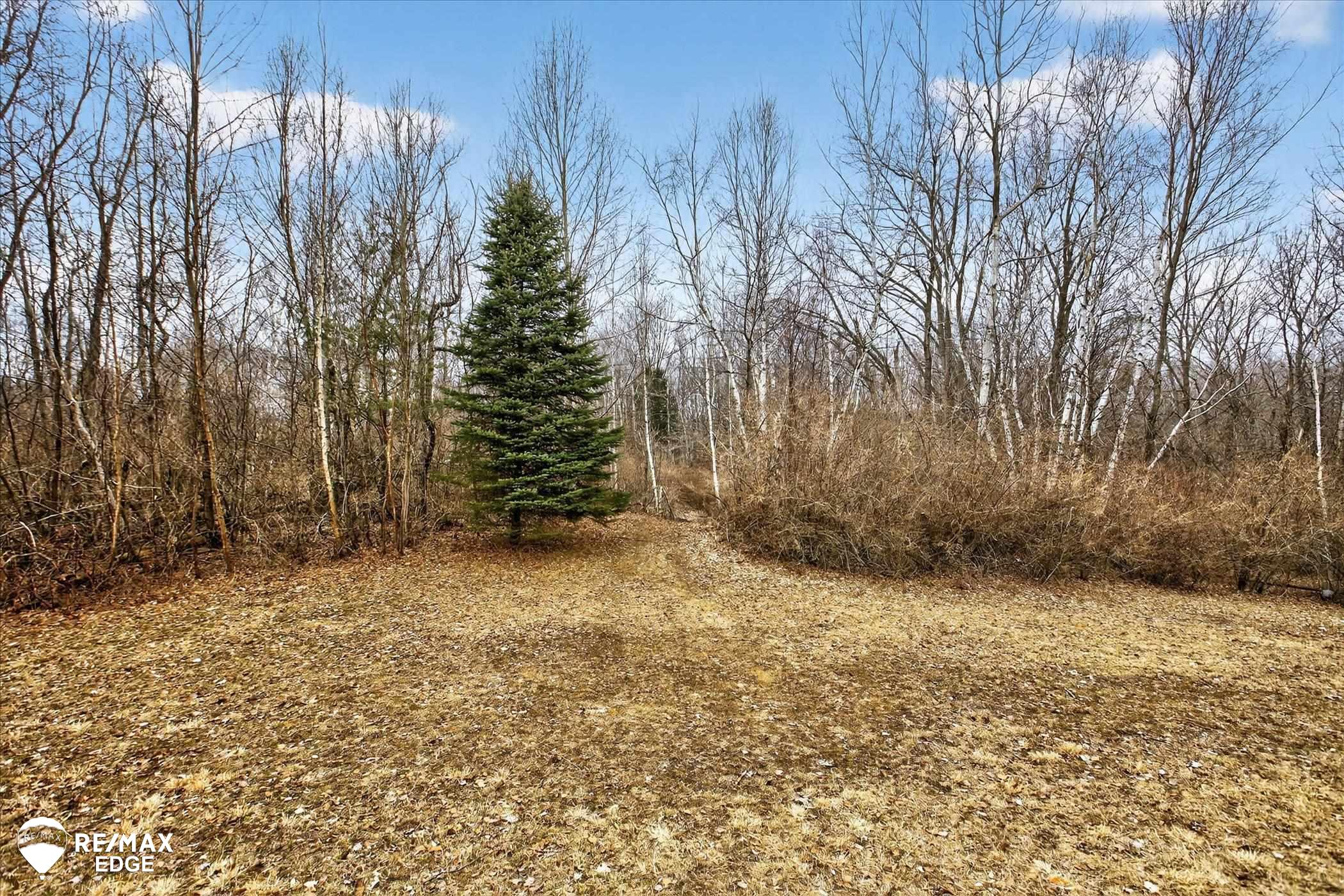 6385 Mayville Road Clifford, MI 48727 - Photo 37 of 49 Gallery Image 37