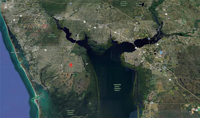 a picture of a tree in a garden