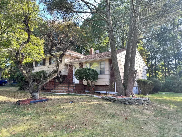 a view of house with tree and outdoor space