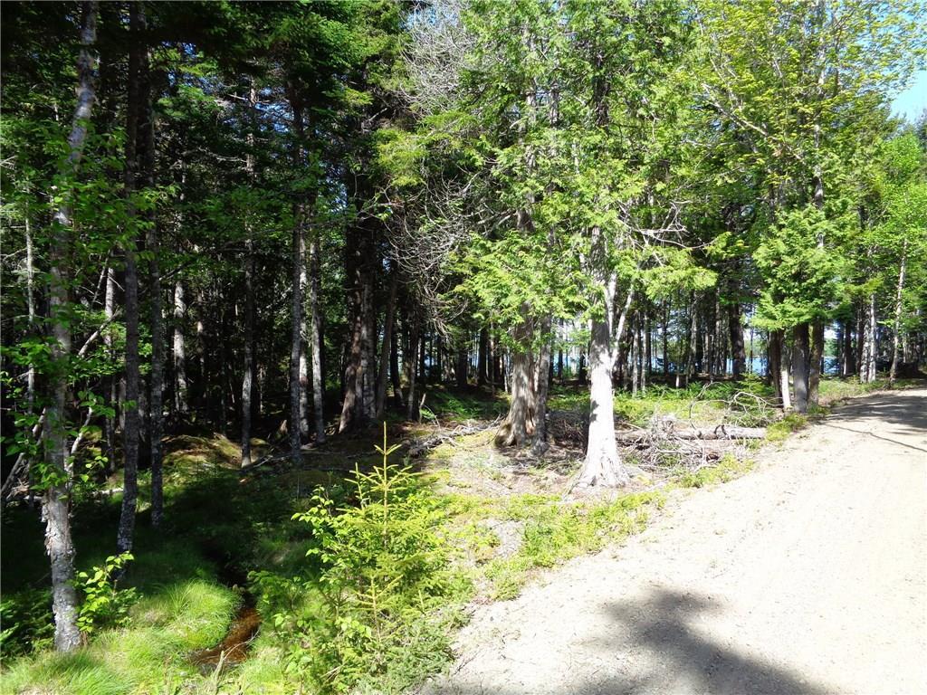 Lot 9 Pineo Point Road Harrington, ME 04643 - Photo 13 of 25 Photo