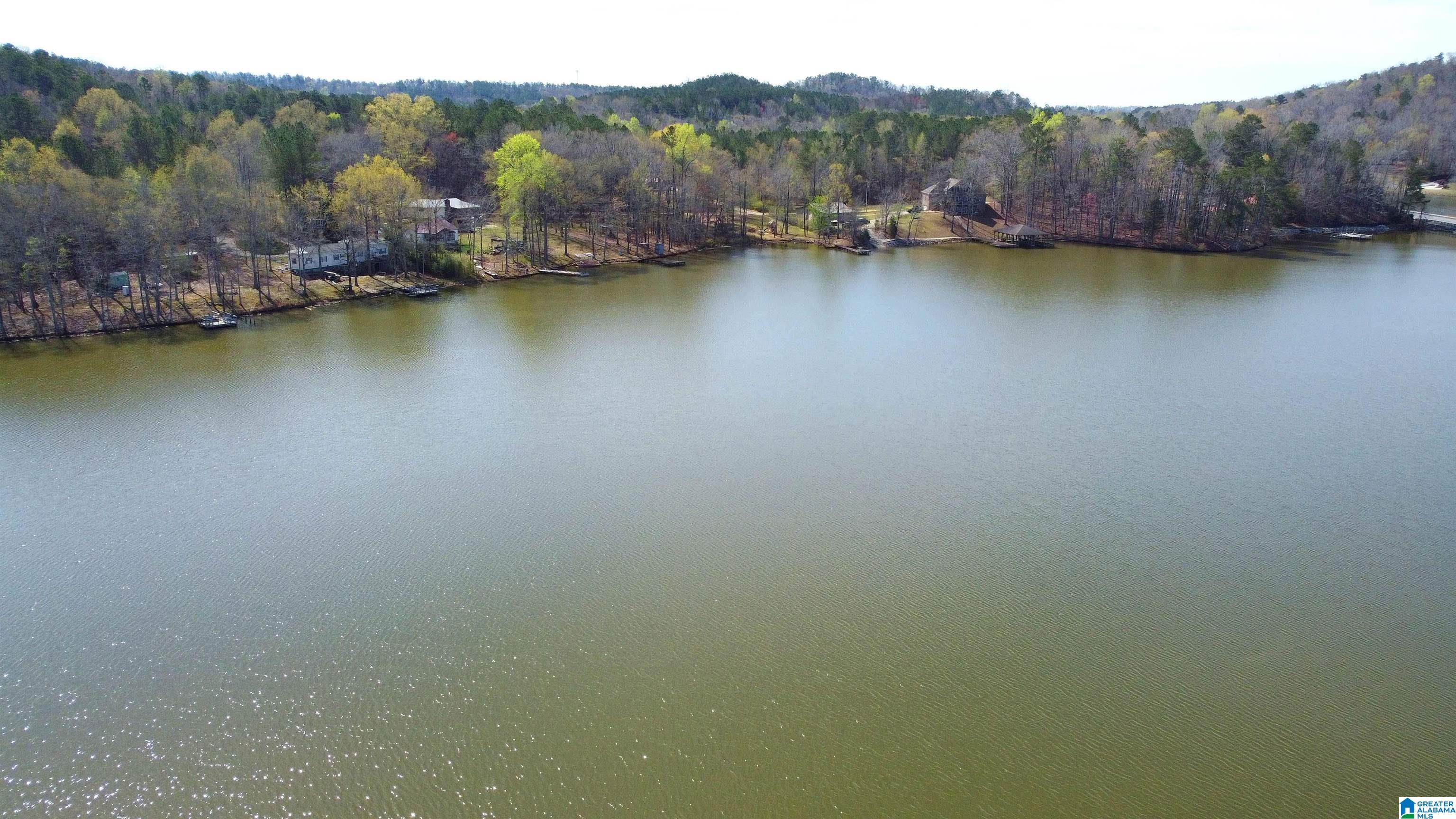 516 Curtis Avenue Ohatchee, AL 36271 - Photo 2 of 12