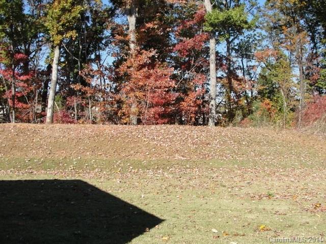 9116 Gray Willow Road Charlotte, NC 28227 - Photo 17 of 17