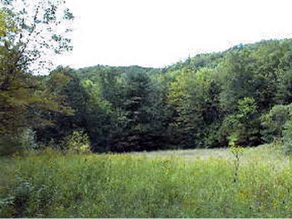 0 White Brook Road Sharon, VT 05065 - Photo 1 of 4