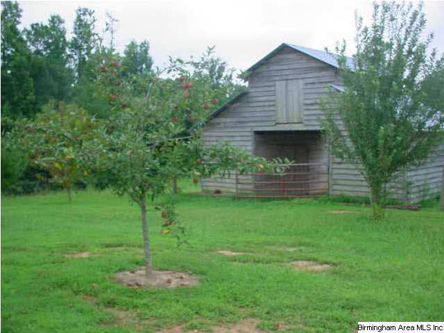 Gallery Image 7