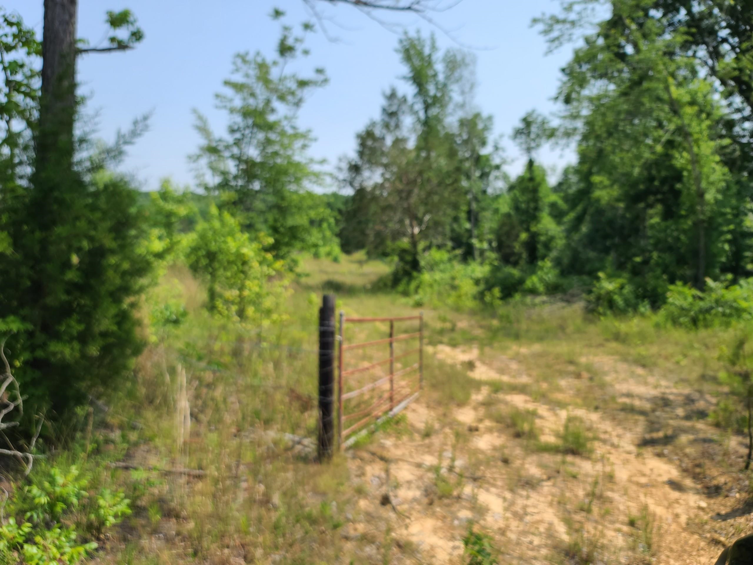 3321 Carnal Road Huntingdon, TN 38344 - Photo 5 of 6 a view of a yard with plants