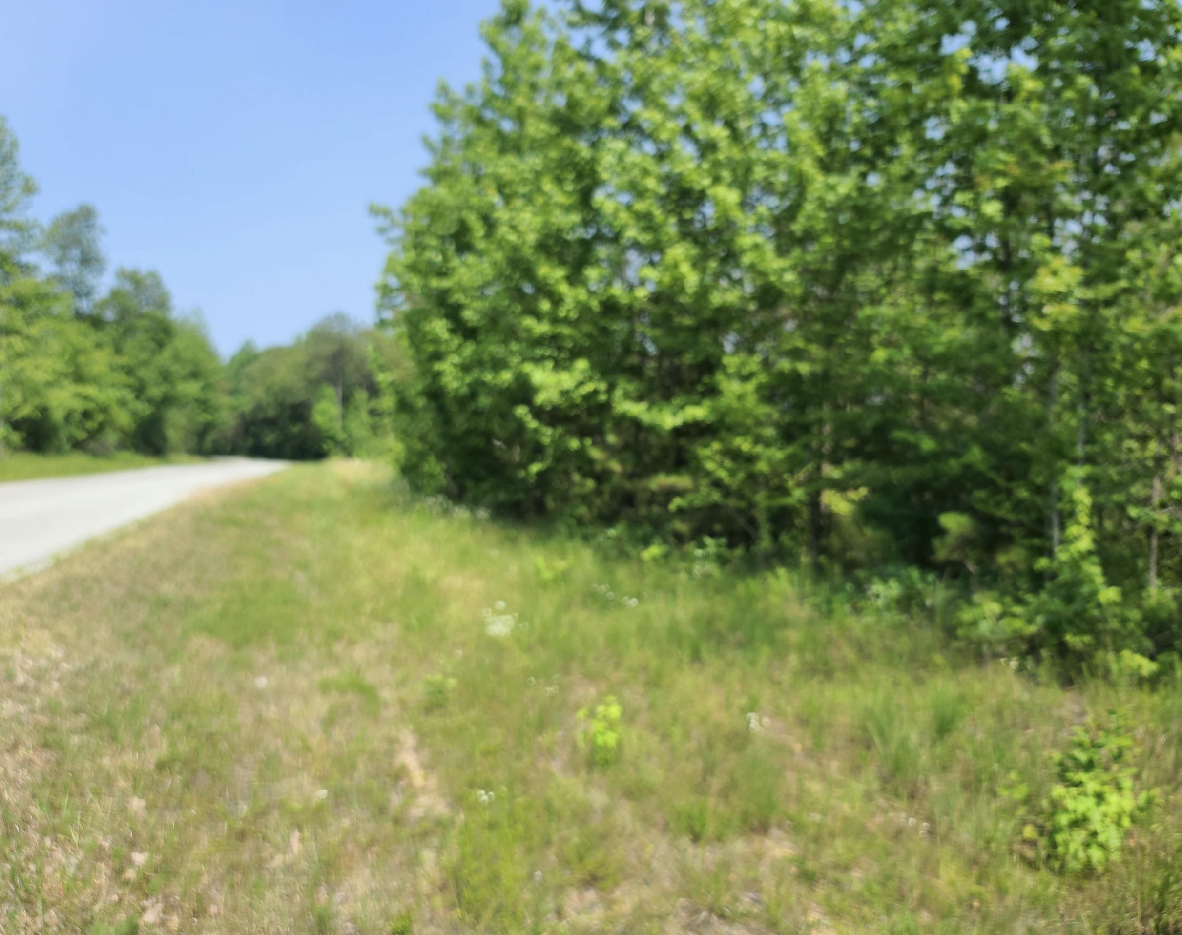 3321 Carnal Road Huntingdon, TN 38344 - Photo 6 of 6