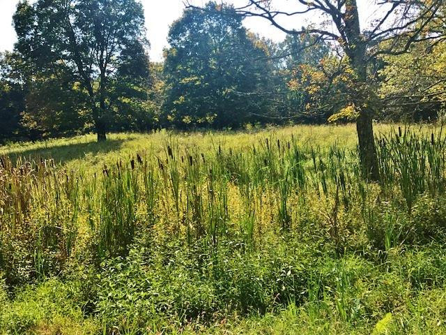3835 A Petty Road Covington, KY 41015 - Photo 2 of 13 Gallery Image 2
