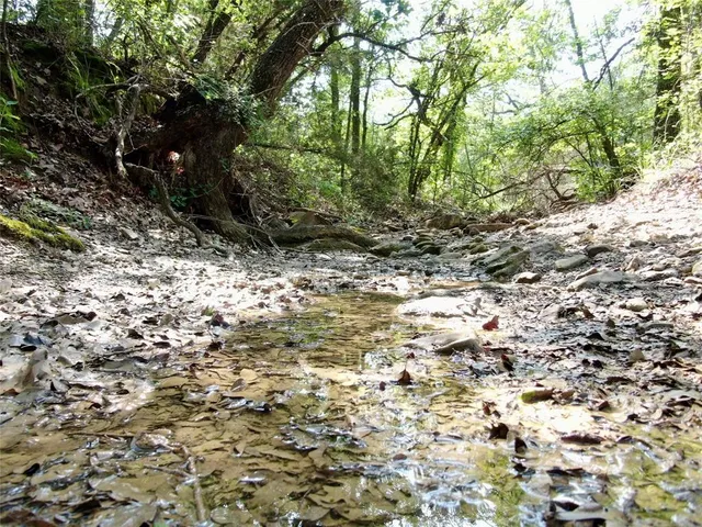 a view of yard with tree in back