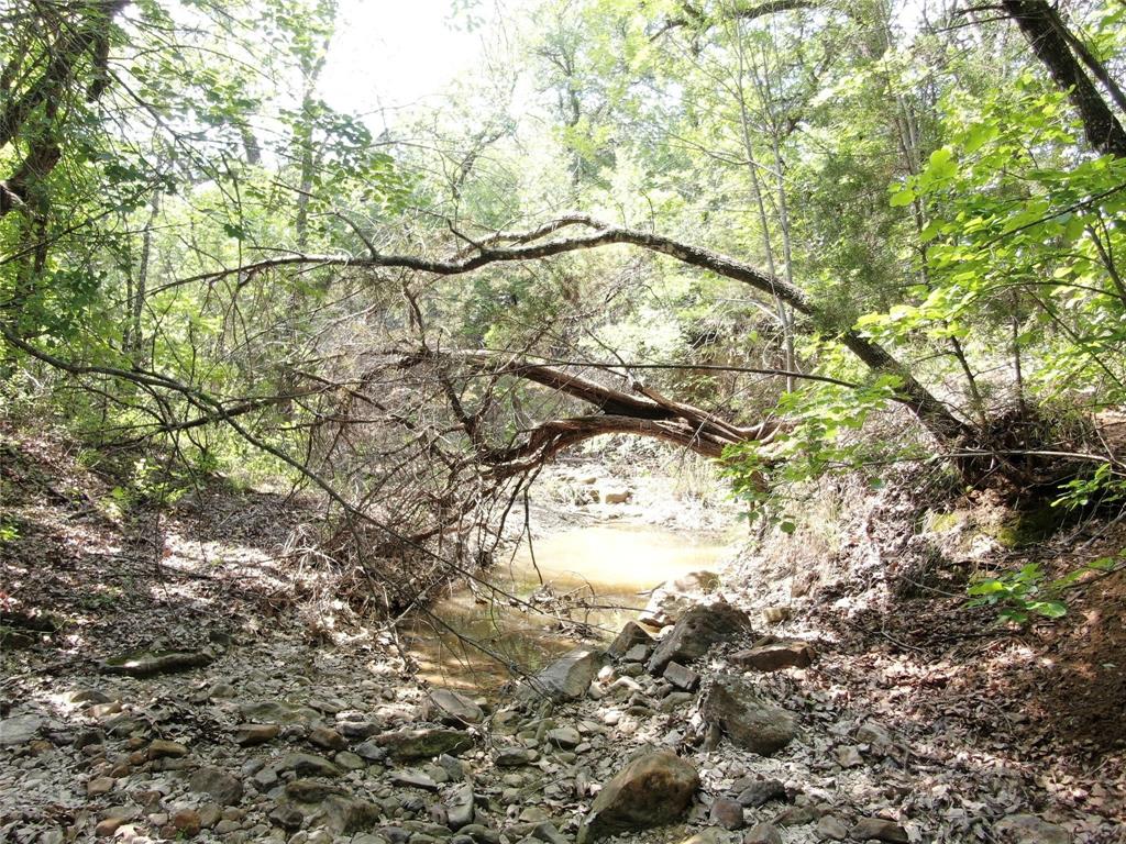 Tbd Finis Road Graham, TX 76450 - Photo 12 of 23 a view of tree