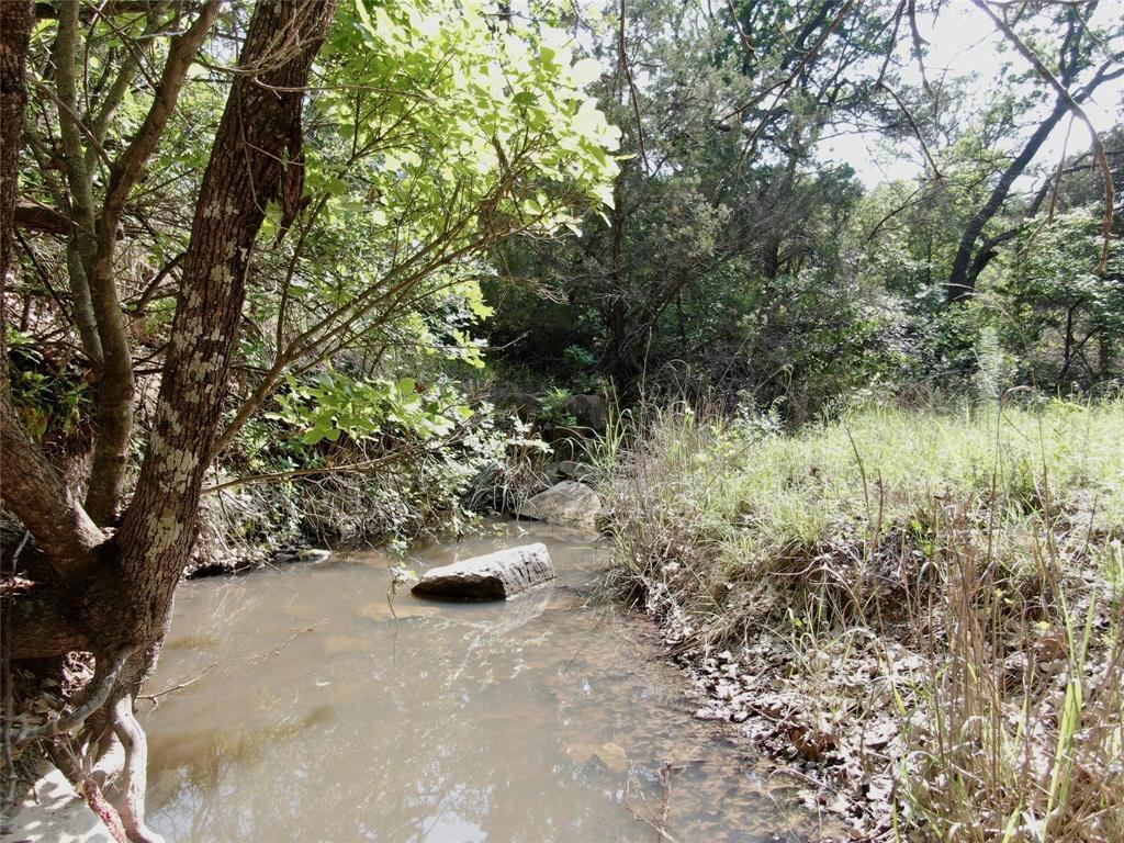 Tbd Finis Road Graham, TX 76450 - Photo 13 of 23 a view of yard with tree in back