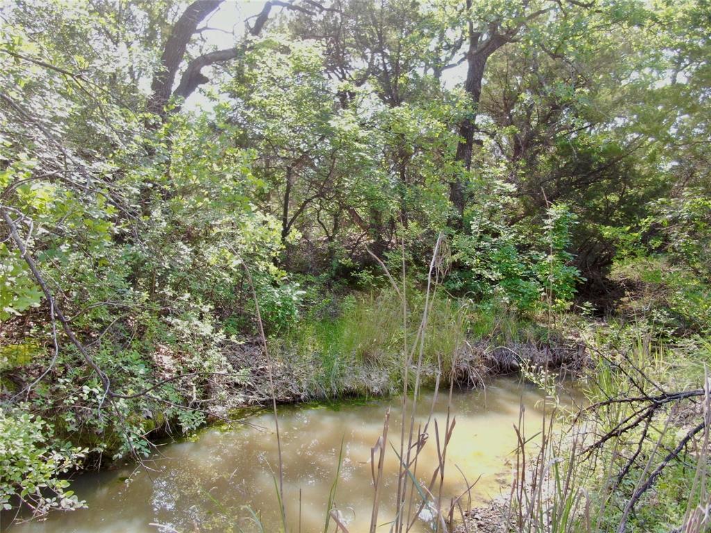 Tbd Finis Road Graham, TX 76450 - Photo 14 of 23 a view of lake with green space