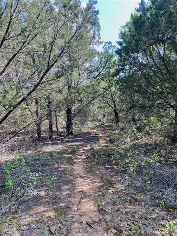 a view of a yard with plants