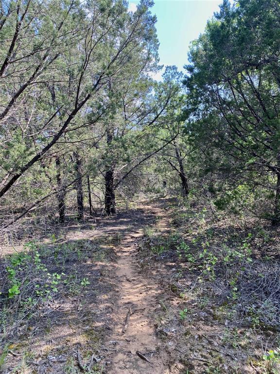 Tbd Finis Road Graham, TX 76450 - Photo 15 of 23 a view of a yard with large trees