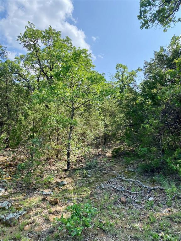 Tbd Finis Road Graham, TX 76450 - Photo 16 of 23 a view of a garden with plants