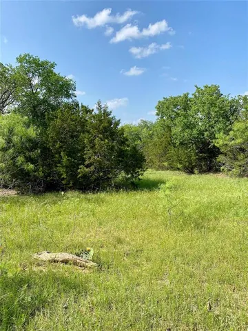 a view of a yard with a tree