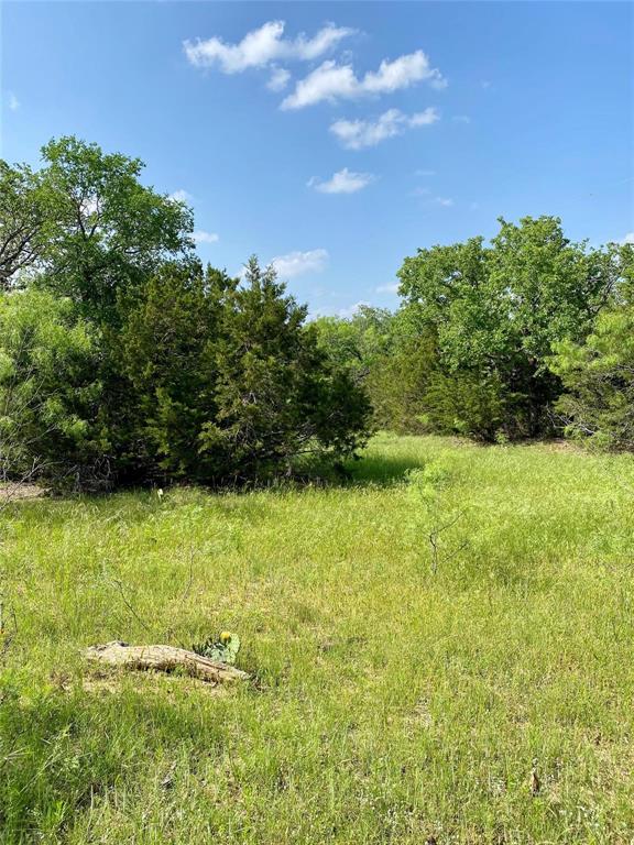 Tbd Finis Road Graham, TX 76450 - Photo 17 of 23 a view of a yard with plants