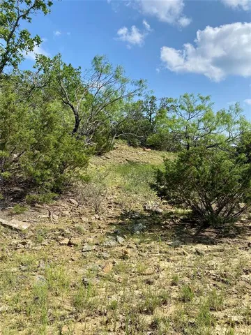 a view of a water pond with green yard