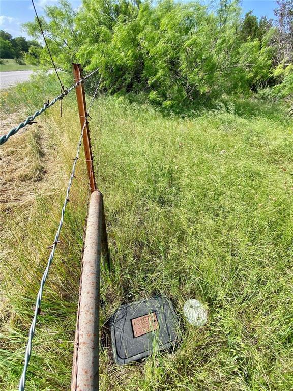 Tbd Finis Road Graham, TX 76450 - Photo 19 of 23 a view of a yard with a tree