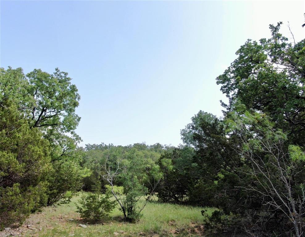 Tbd Finis Road Graham, TX 76450 - Photo 2 of 23 a view of a green field with lots of bushes