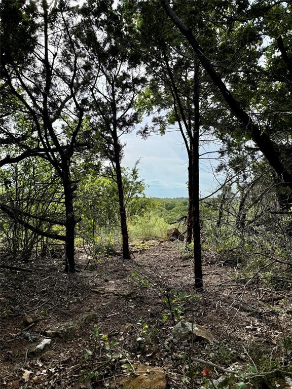 Tbd Finis Road Graham, TX 76450 - Photo 22 of 23 a view of a forest with trees