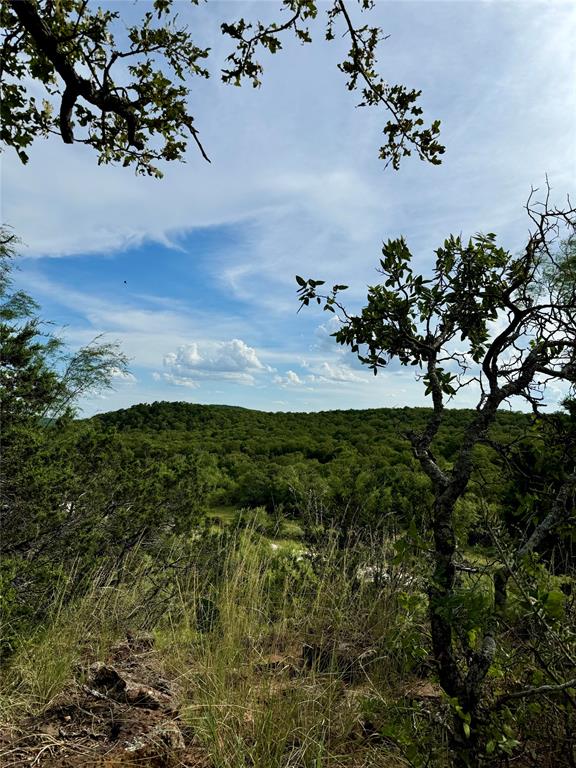 Tbd Finis Road Graham, TX 76450 - Photo 23 of 23