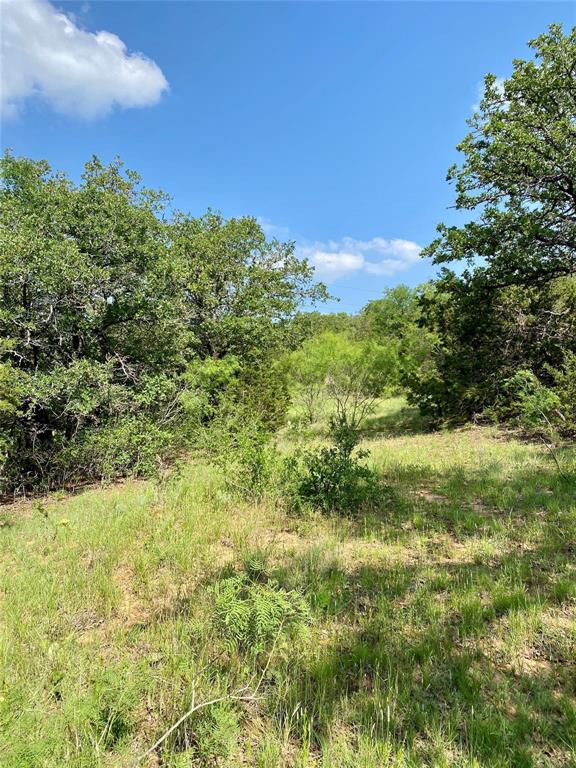 Tbd Finis Road Graham, TX 76450 - Photo 4 of 23 a view of a green field