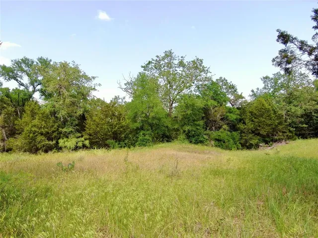 a view of a yard with a tree
