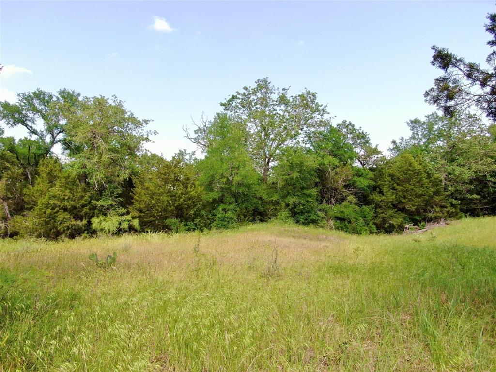 Tbd Finis Road Graham, TX 76450 - Photo 6 of 23