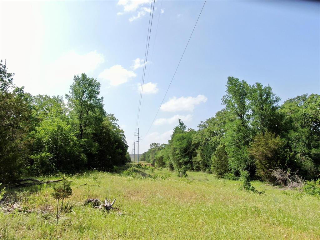 Tbd Finis Road Graham, TX 76450 - Photo 8 of 23 a view of a yard