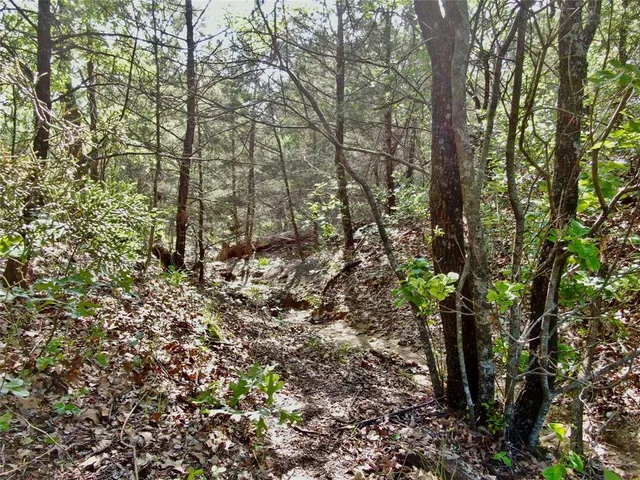 a view of a yard with plants and trees