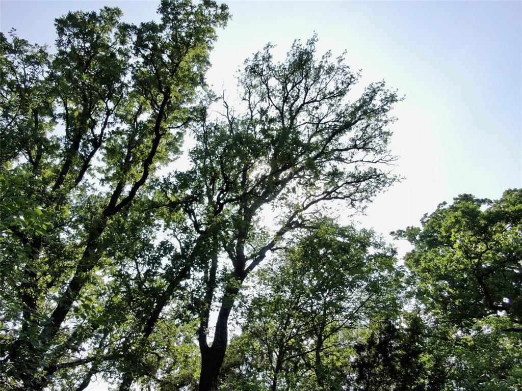 Tbd Finis Road Graham, TX 76450 - Photo 10 of 23