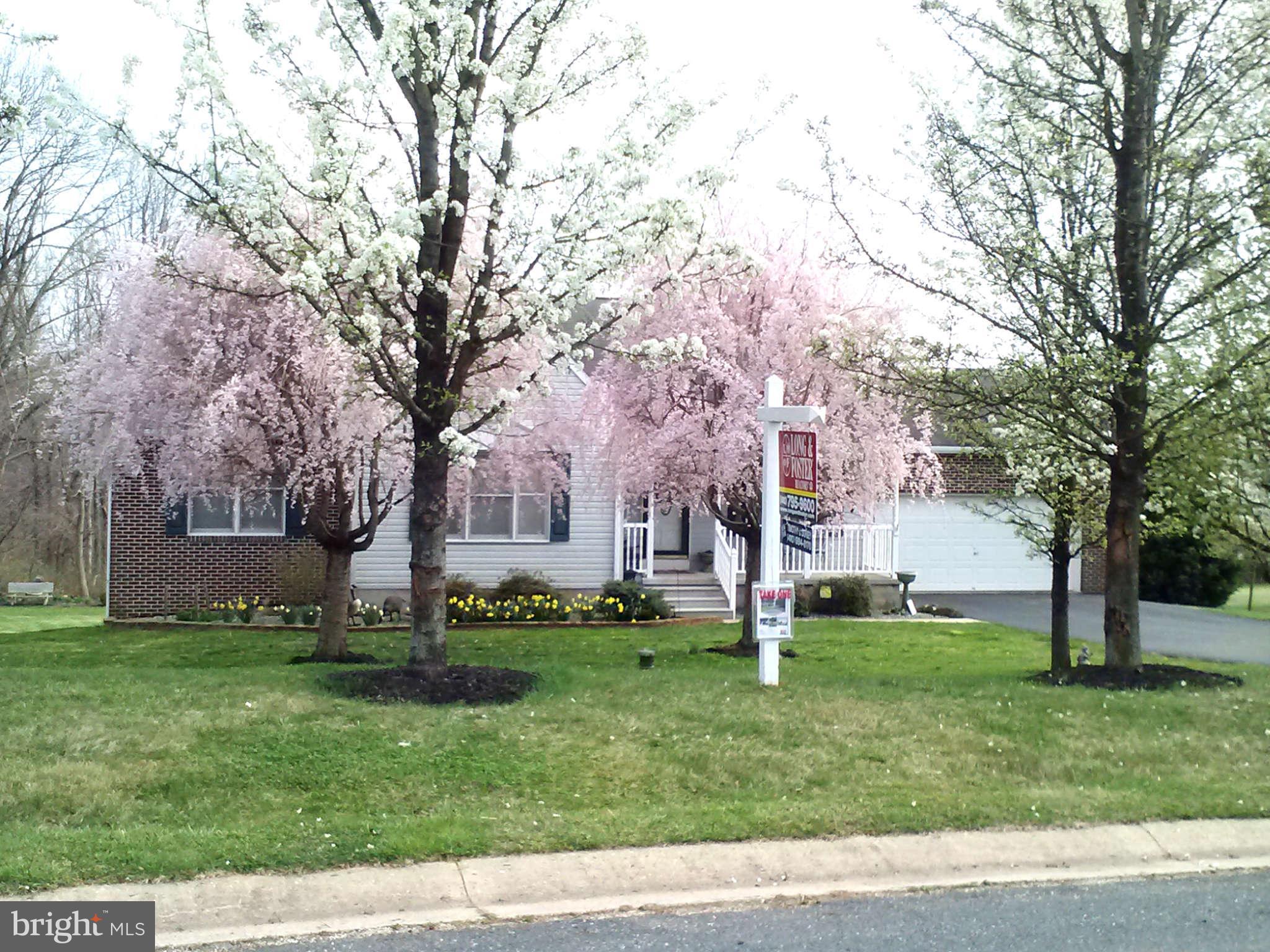 236 Hitching Post Drive Rising Sun, MD 21911 - Photo 1 of 30 Exterior (Front) in bloom