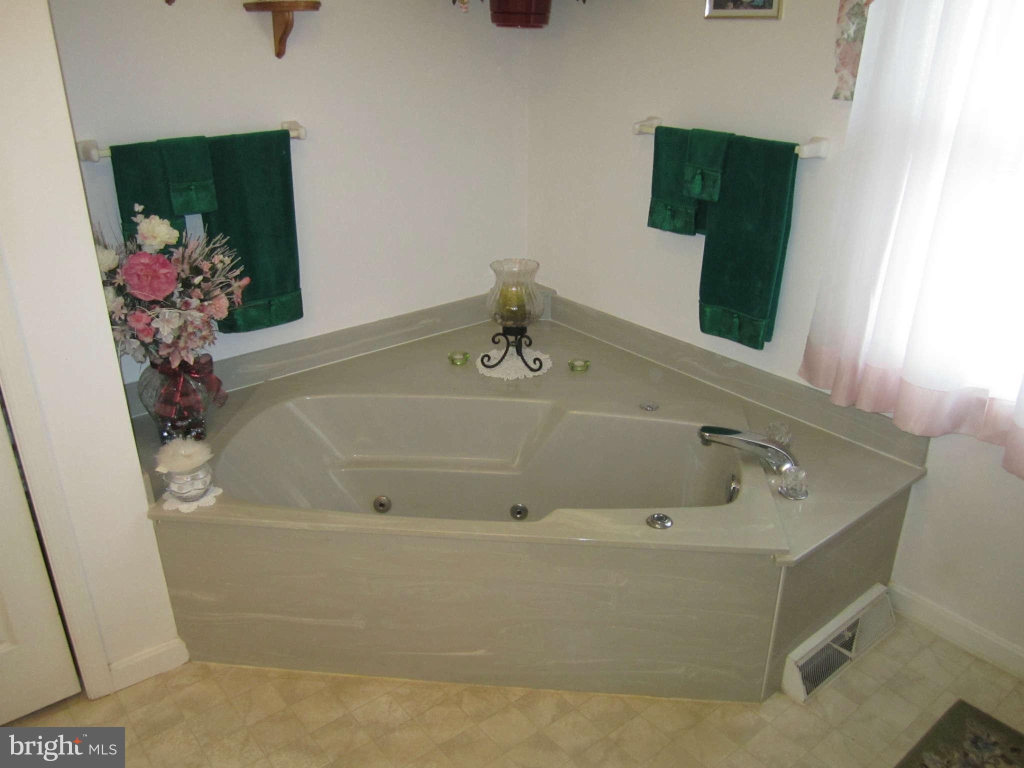 236 Hitching Post Drive Rising Sun, MD 21911 - Photo 17 of 30 Bath (Master) soaking / jet tub