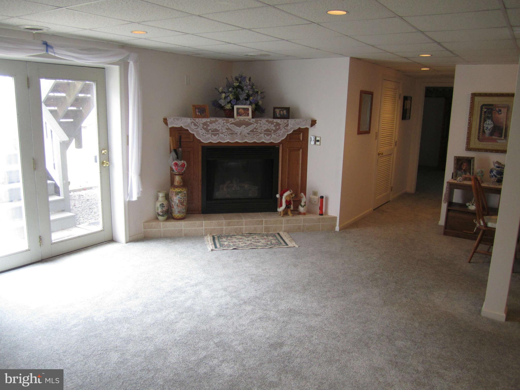 236 Hitching Post Drive Rising Sun, MD 21911 - Photo 23 of 30 Basement gas fire place