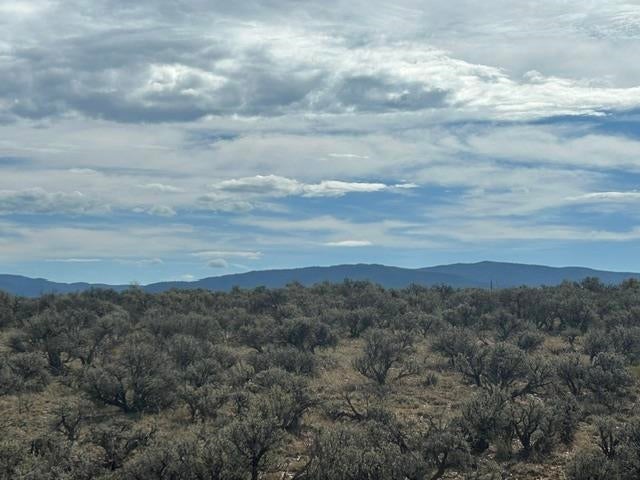 110 Off County Road Ranchos de Taos, NM 87557 - Photo 8 of 9 Gallery Image 8