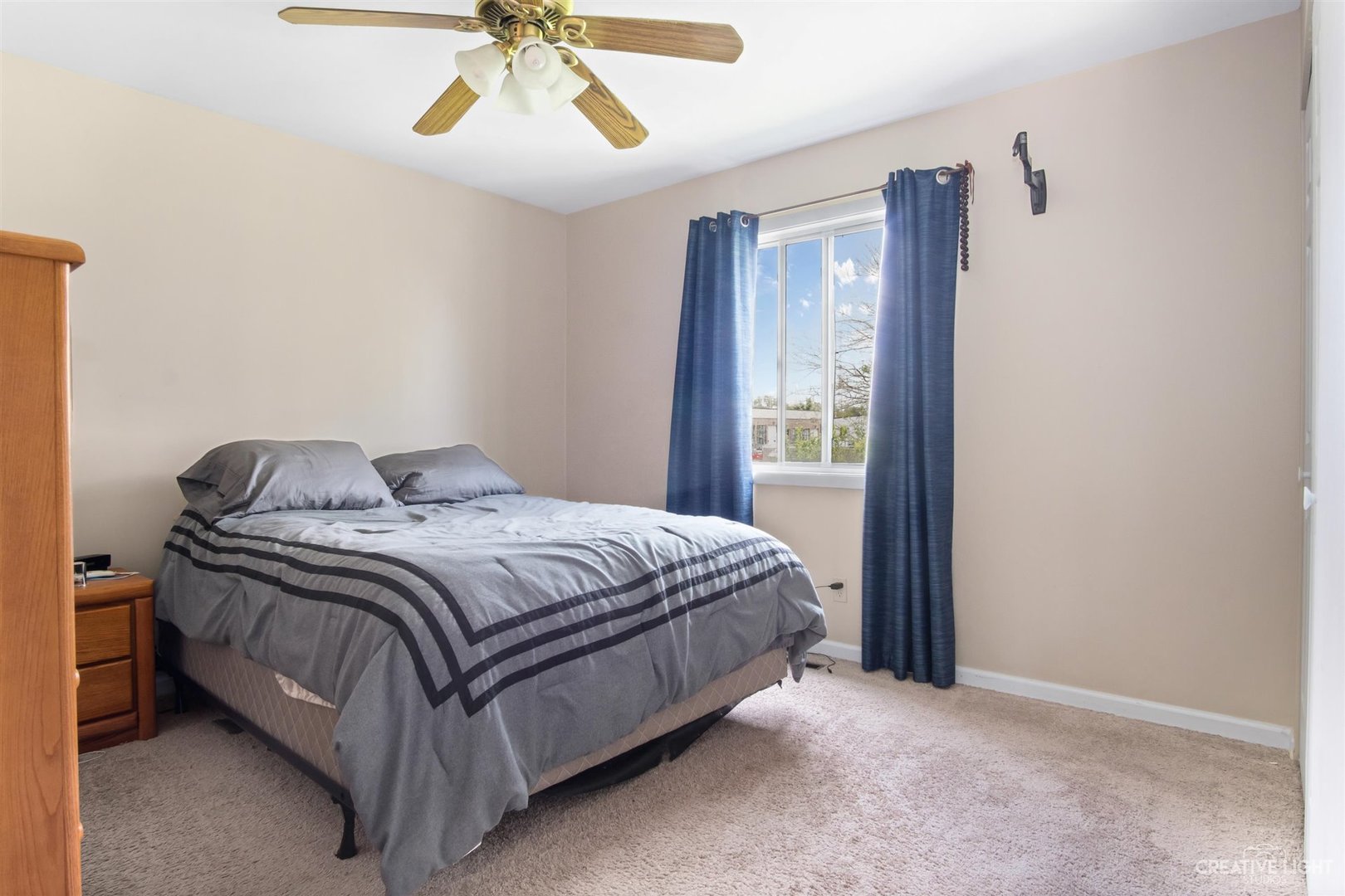 931 Cardiff Drive Crystal Lake, IL 60014 - Photo 9 of 17