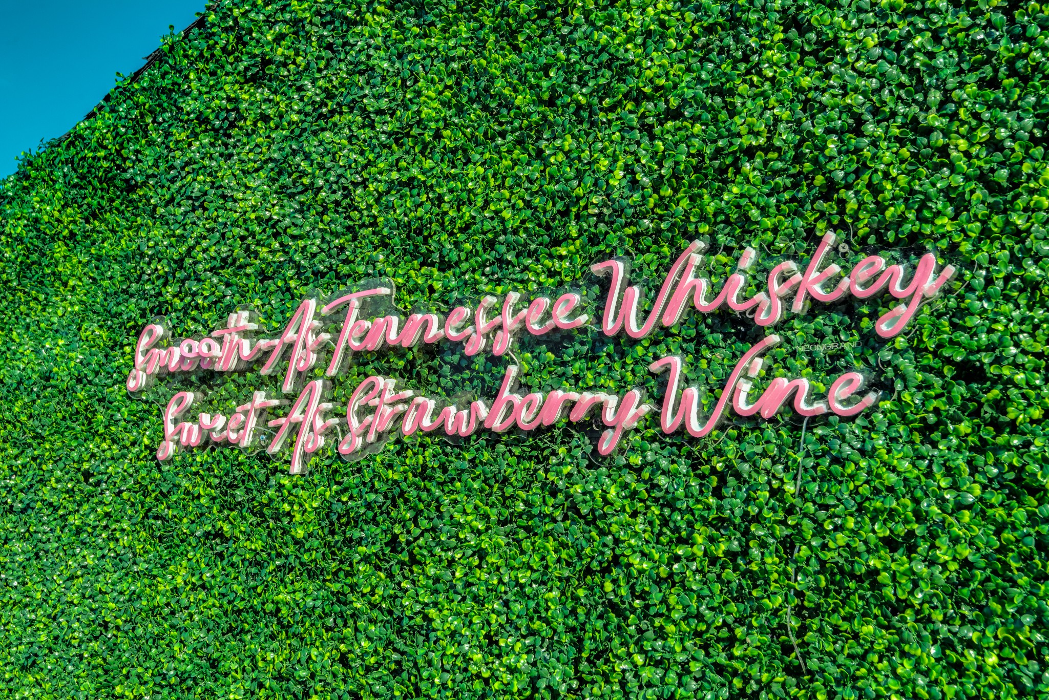 1112 Harmony Way Nashville, TN 37207 - Photo 5 of 44