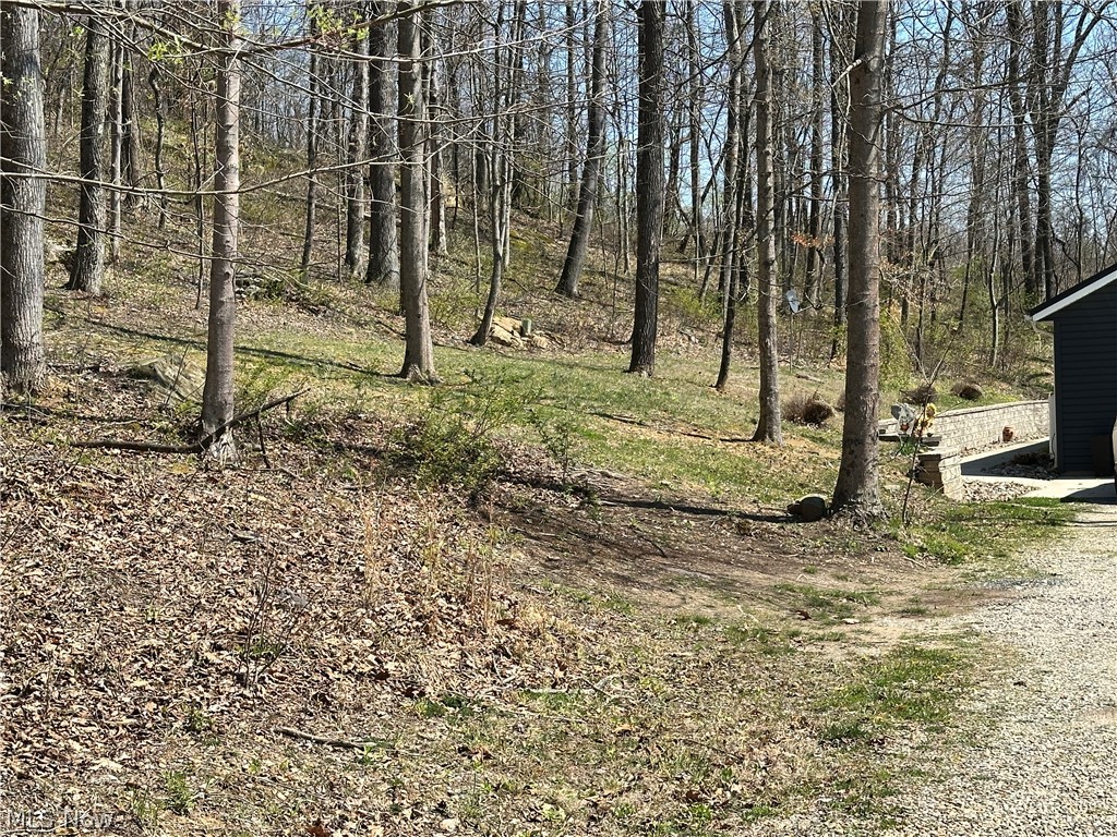 26296 Joe Day Road Quaker City, OH 43773 - Photo 26 of 31