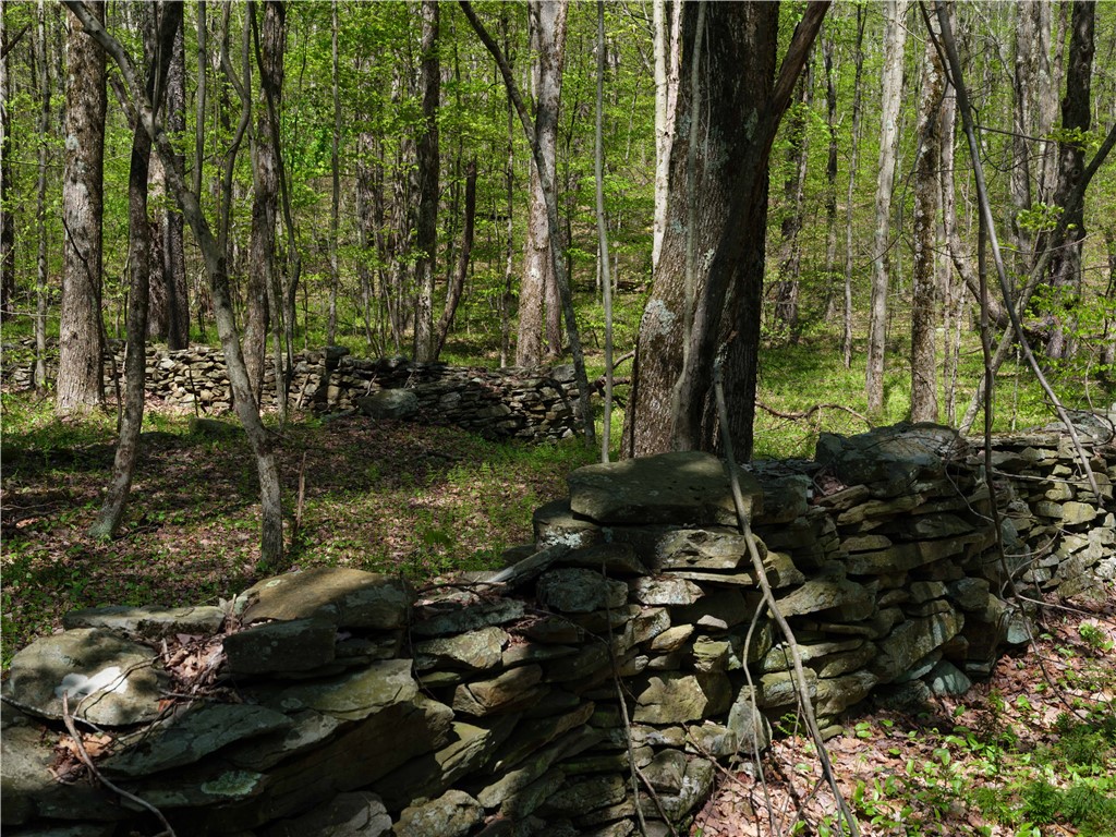Sanly Road Franklin, NY 13775 - Photo 7 of 13