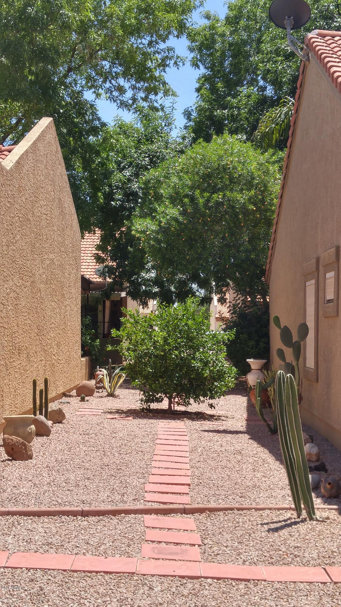2329 North Recker Road, Unit 91 Mesa, AZ 85215 - Photo 61 of 71 Walk to the pool