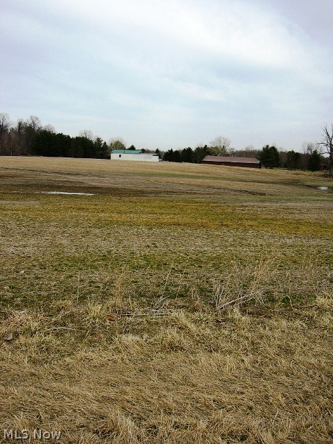 Ward Road Wakeman, OH 44889 - Photo 3 of 3