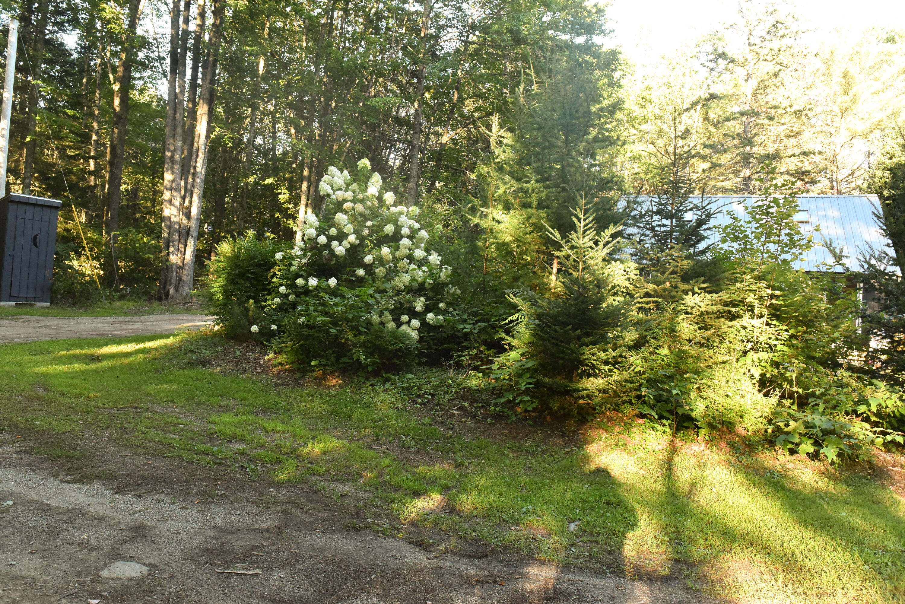 477 North Penobscot Road Penobscot, ME 04476 - Photo 86 of 101 DSC_1595
