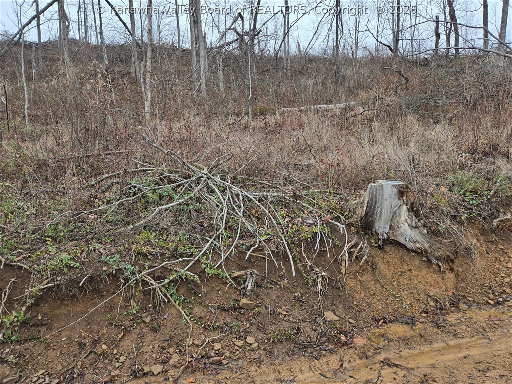0 Beechy Road Procious, WV 25164 - Photo 22 of 29 Gallery Image 22