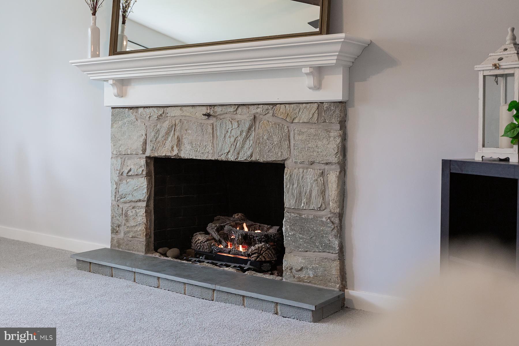 2313 Helena Road Lancaster, PA 17603 - Photo 16 of 72 gas fireplace
