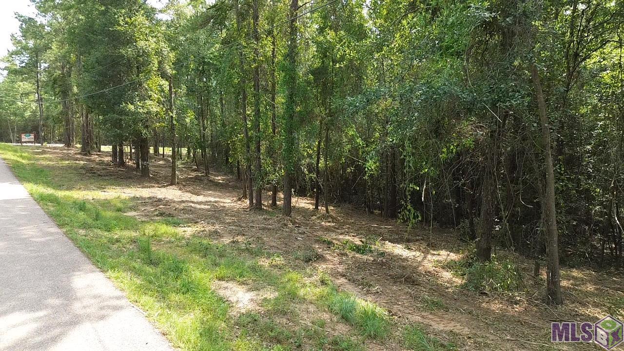 Five Five Lakes Road Bush, LA 70431 - Photo 11 of 14 Gallery Image 11