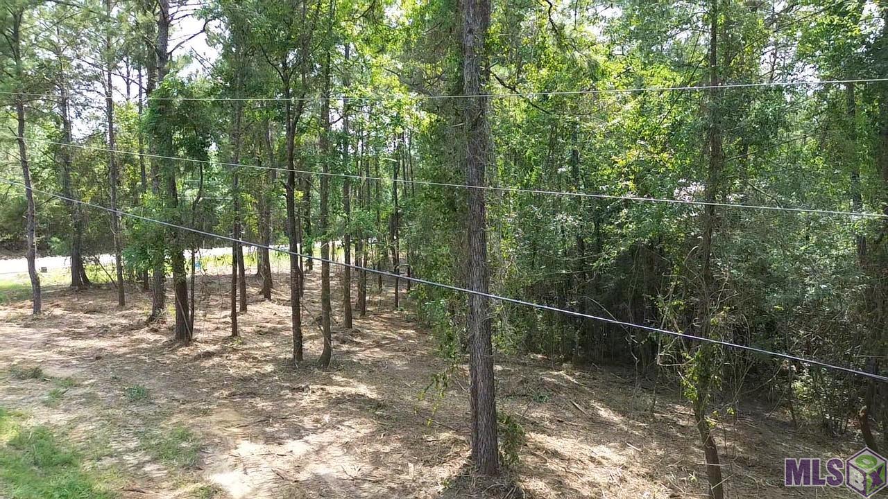 Five Five Lakes Road Bush, LA 70431 - Photo 12 of 14 Gallery Image 12