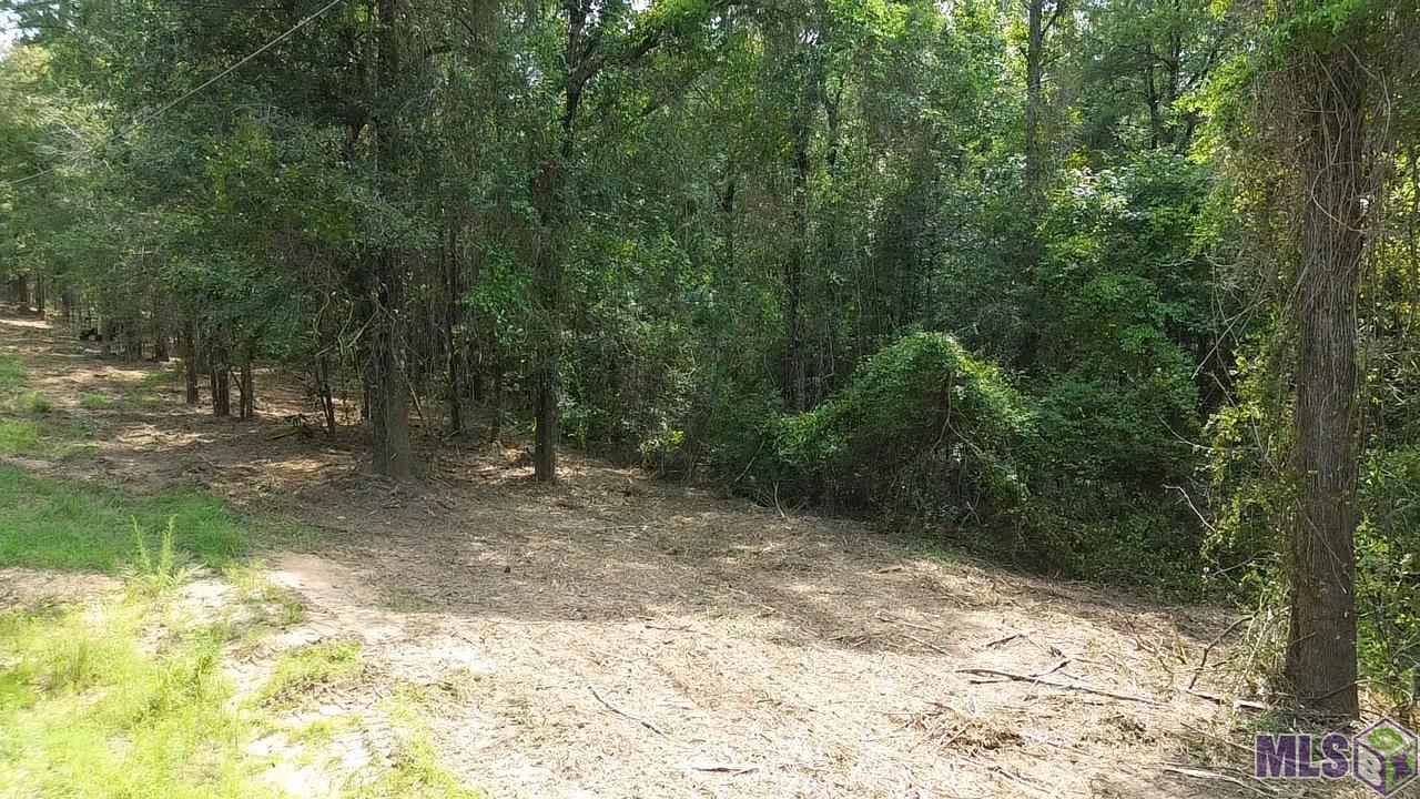 Five Five Lakes Road Bush, LA 70431 - Photo 14 of 14 Gallery Image 14