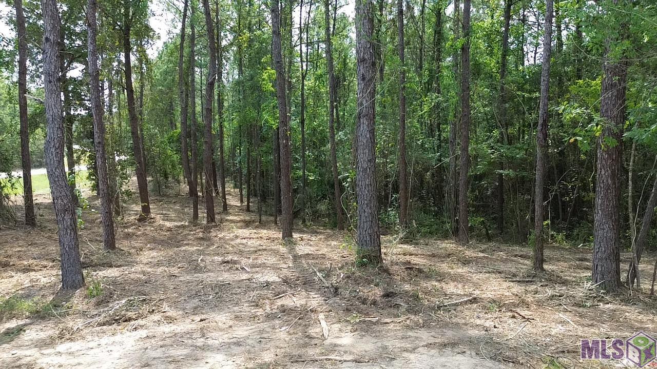 Five Five Lakes Road Bush, LA 70431 - Photo 2 of 14 Gallery Image 2